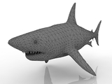 3d модель - Акула