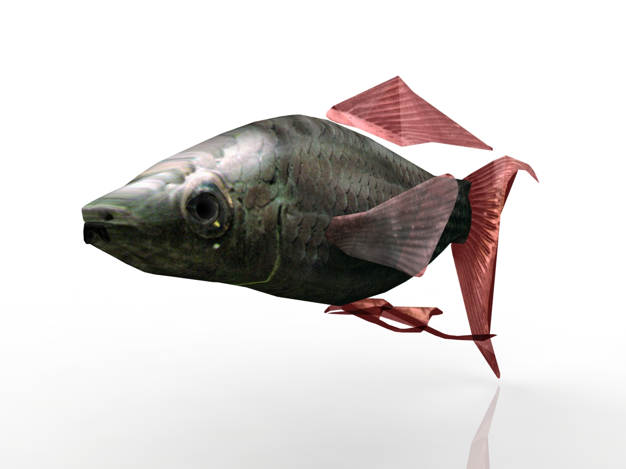 3D модели - Оквариумная рыбка