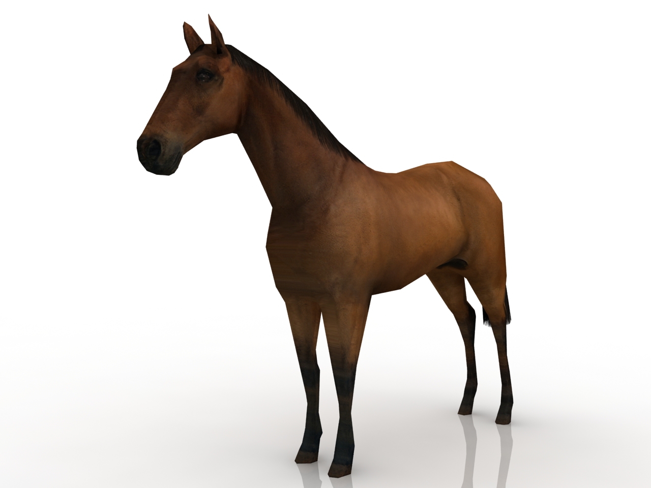 3D модели - Лошадь