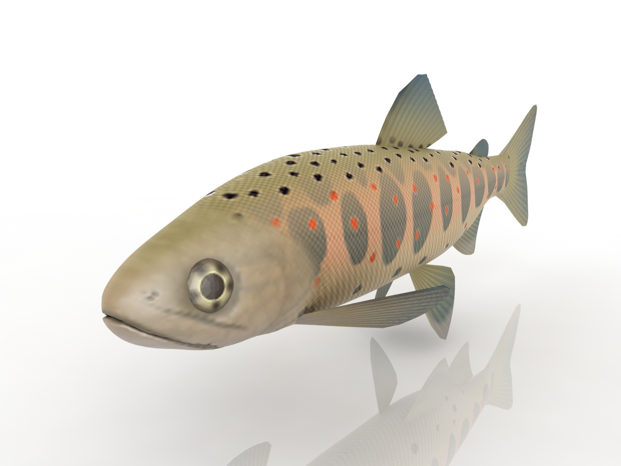 3D модели - Рыба