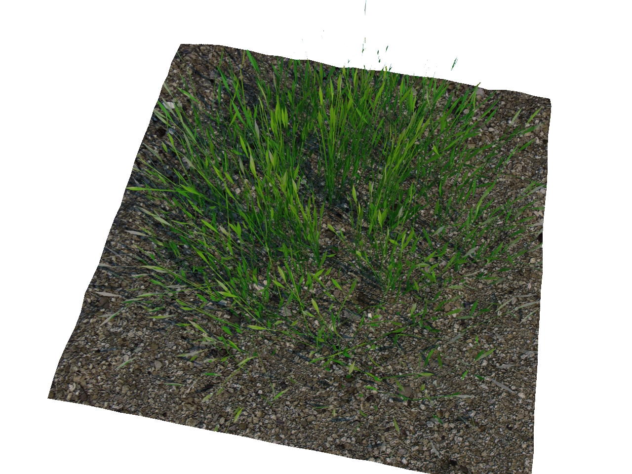 3D модели - Трава