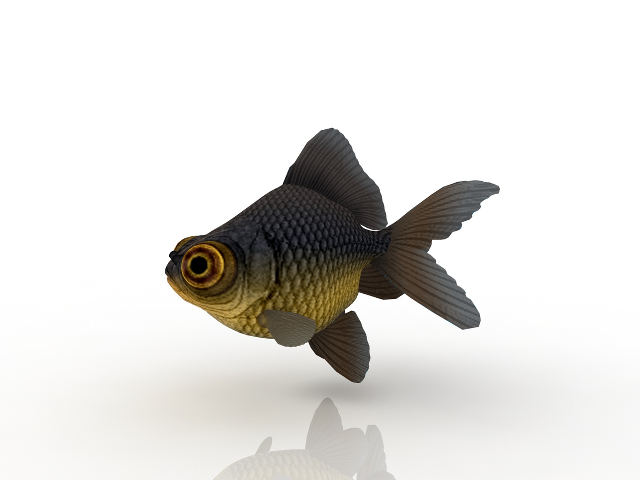 3d модель - Рыбка