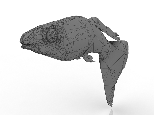 3d модель - Оквариумная рыбка