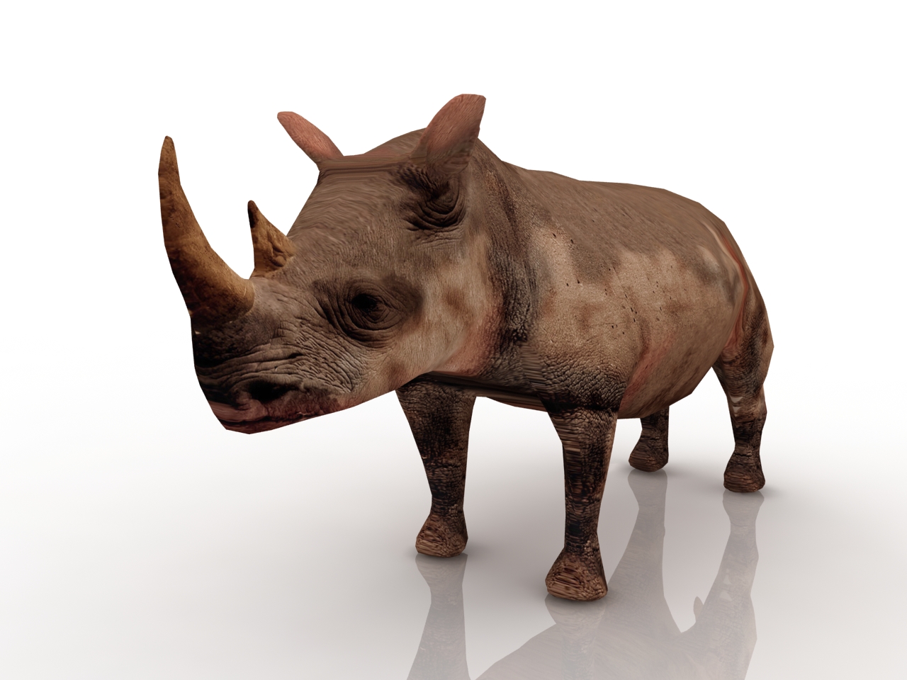 3D модели - Носорог