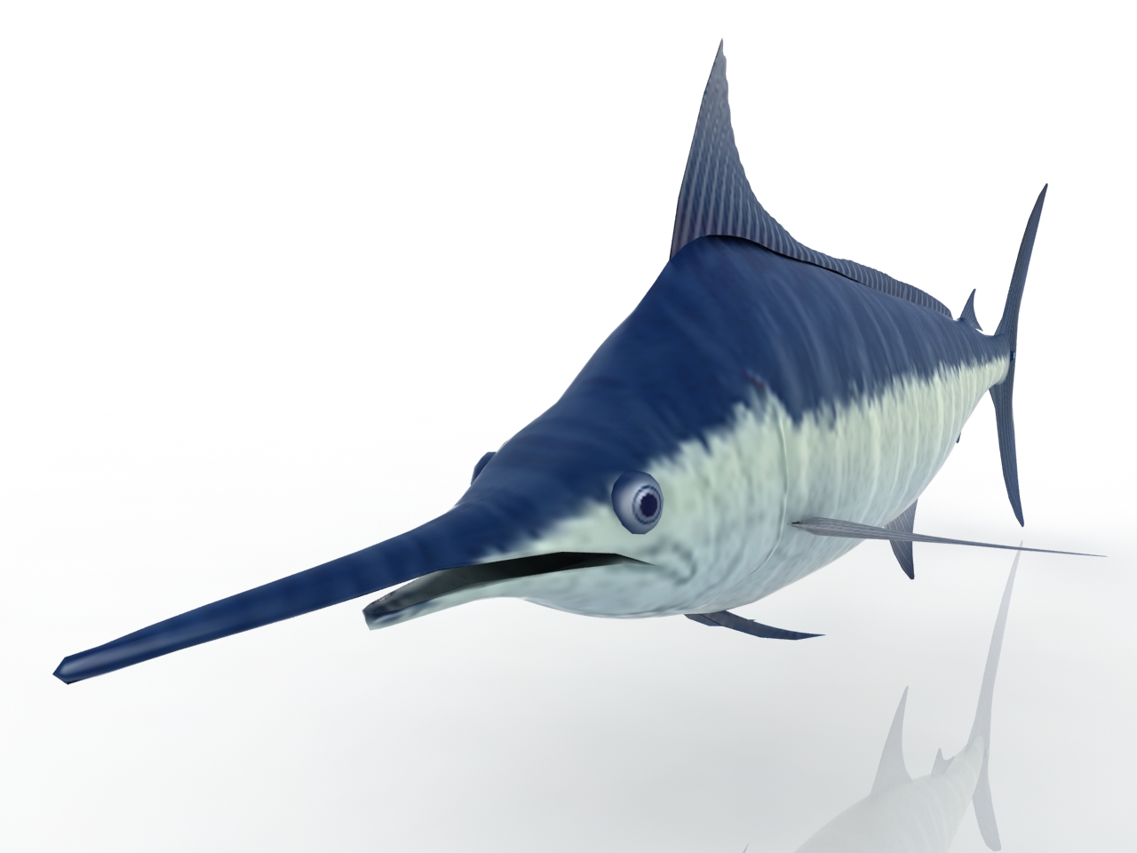 3D модели - Рыба-меч