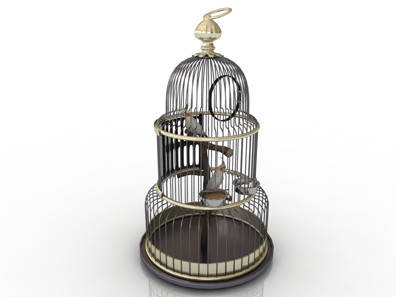 3D модели - Клетка с попугаем