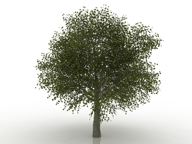 3d модель - Дерево