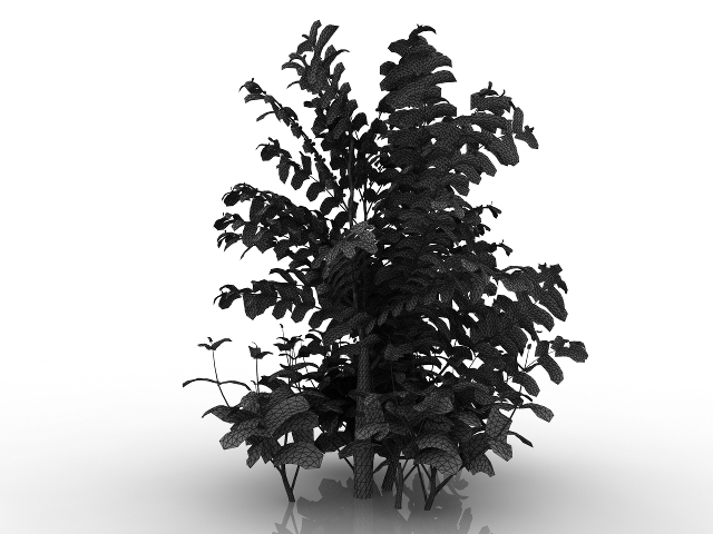 3d модель - Кофейное дерево