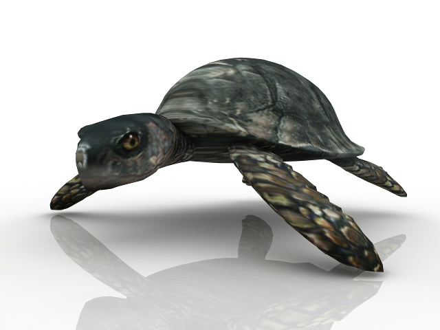 3d модель - Черепаха