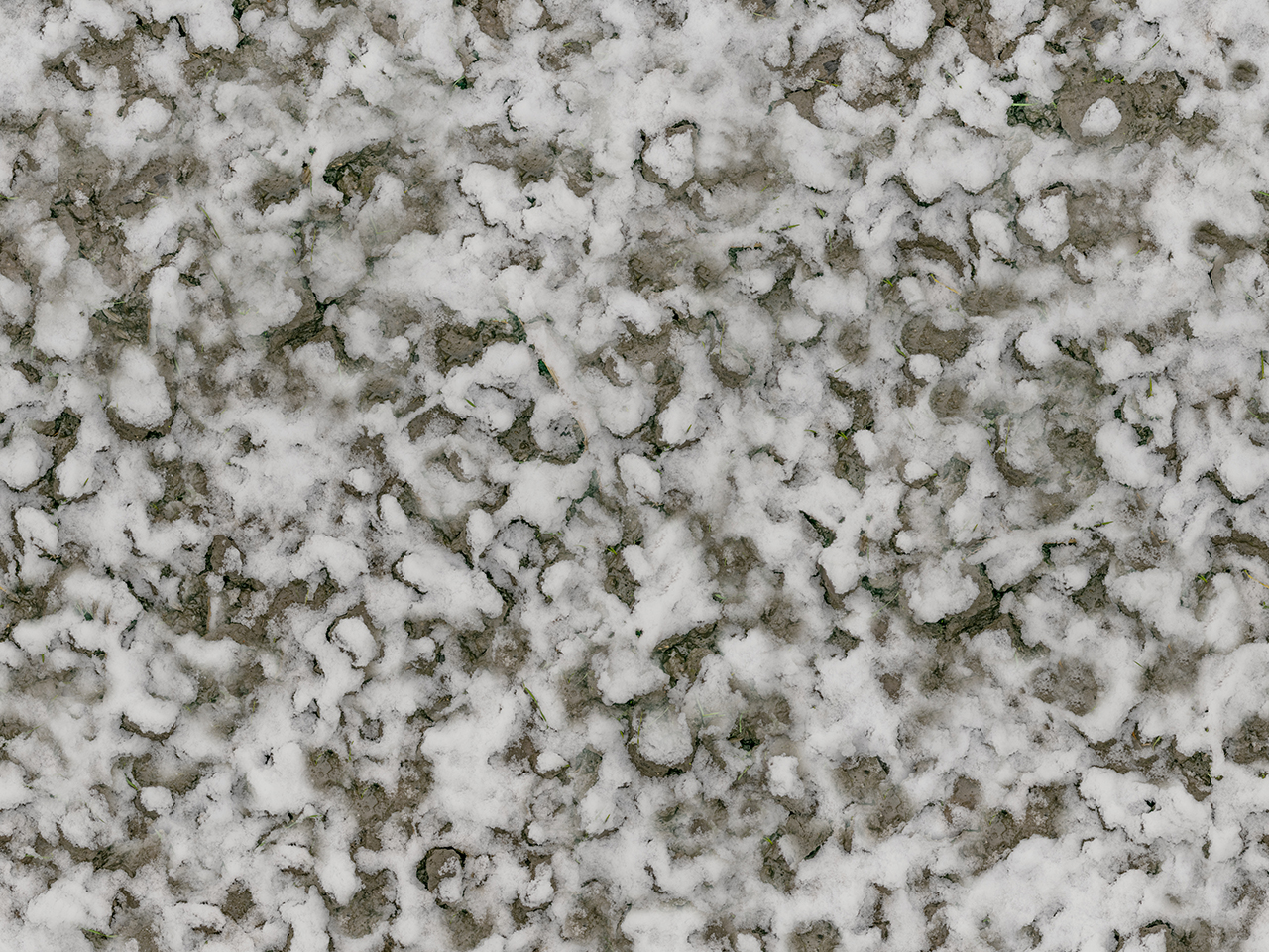 3D текстуры - Снег на земле