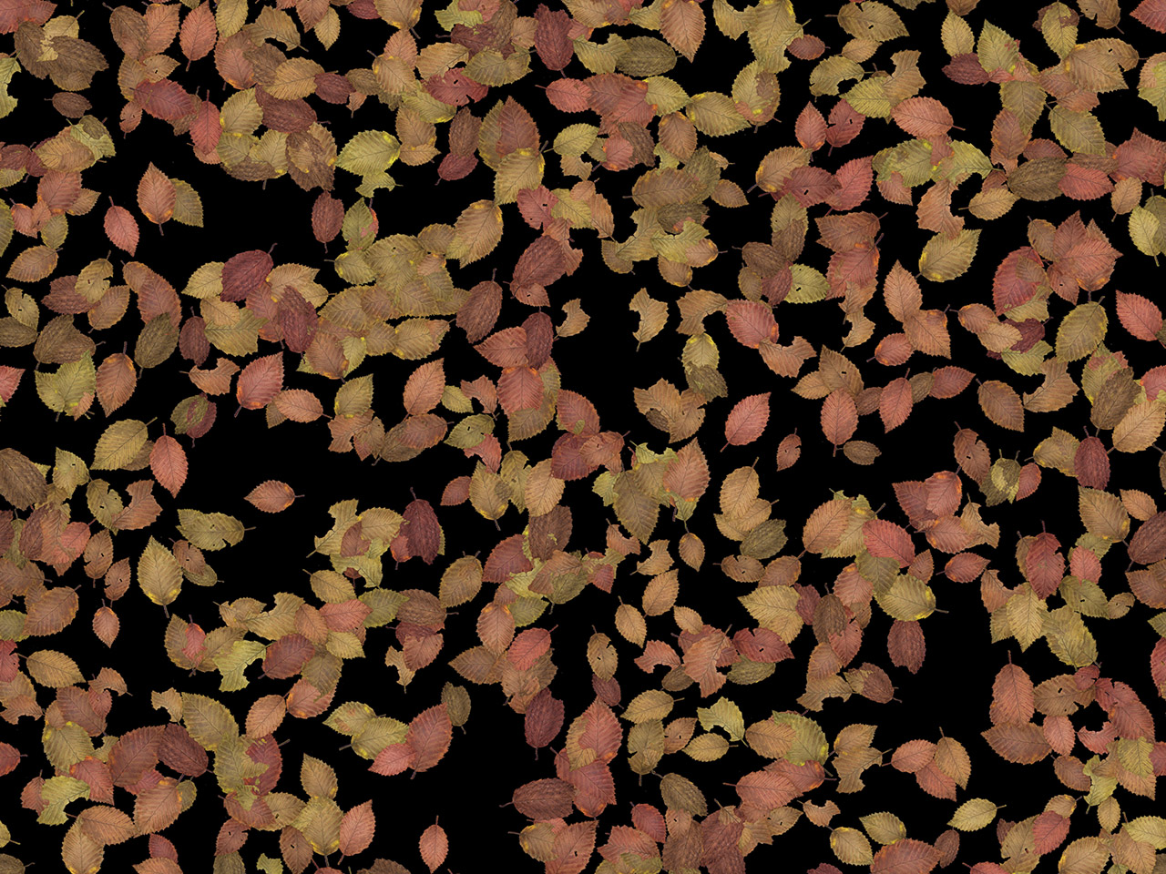 3D текстуры - Опавшие листья